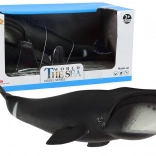 Große Sammlerfigur Grönlandwal