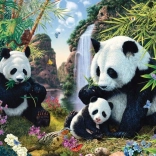 Puzzle Pandas am Wasserfall 500 Teile SCHMIDT