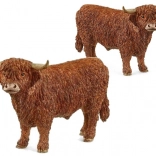 Stier aus dem Hochland