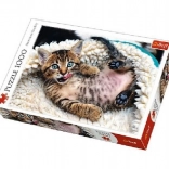 Puzzle 1000 Teile - Fröhliches Kätzchen Trefl