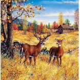 Diamantmalerei Hirsche auf dem Feld 30x40 cm