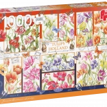 Puzzle Niederländische Tulpen 1000 Teile JUMBO