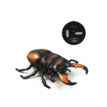 RC Hirschkäfer mit IR-Fernsteuerung