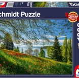 Puzzle Blühende Tulpen auf der Insel Mainau 1000 Teile