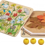 Holzpresse für Pflanzen für ein Herbarium GOKI