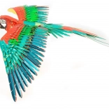 METAL EARTH 3D-Puzzle Papagei (ICONX)