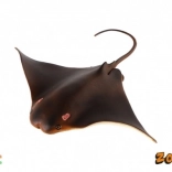 Rochenmodell aus Kunststoff