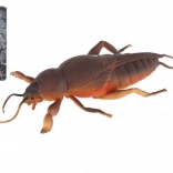 Dehnbare Anti-Stress-Eidechse aus TPR 18 cm