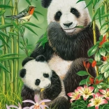 Puzzle Castorland Panda Brunch 300 Teile