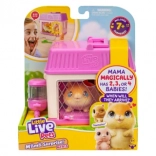 Little Live Pets Mini Mama Hamster mit Überraschungs-Babys im Häuschen