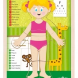 Woody beidseitiges Puzzle Menschlicher Körper – Mädchen (auf Englisch)