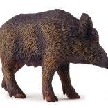 Wildschwein – Bache COLLECTA