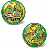 Ninja Turtles Retro Ball 23 cm