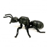 Figur des glänzendschwarzen Ameisen