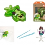 Entdecke die Froschsezierung – Lernset mit Schleim