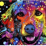 Diamantmalerei Abstrakter Hund 30 × 40 cm
