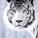 Puzzle Kristallaugen 500 Teile