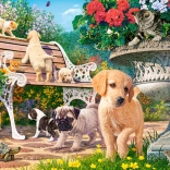 Puzzle mit 100 Teilen Hide and Seek