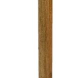 Holzbleistift mit Schweinekopf