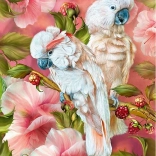 CHERRY PAZZI Puzzle Kakadu – Geister der Tropen, 1000 Teile