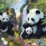 Puzzle Versteckte Pandas 1000 Teile – Secret Collection