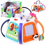 Interaktive Lern-Multiwürfel HOLA