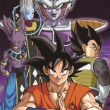 Puzzle Dragon Ball 104 Teile