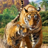 Puzzle Eurographics Save Our Planet – Tiger XL 250 Teile