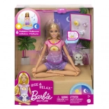 Barbie Wellness Meditationspuppe mit Geräuschen
