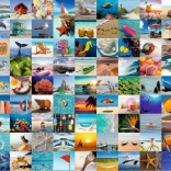 Puzzle RAVENSBURGER 99 Momente am Meer 1000 Teile