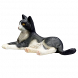 Schwarz-weiße liegende Katze Mojo