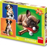 Puzzle Hundesportler 3×55 Teile