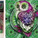 Norimpex Diamantmalerei 7D – Eule auf grüner Mandala 30 × 30 cm