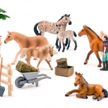Set 25 Pferde Faunica (gefleckt und braun)