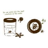 Navir Explora großer Becher zur Beobachtung von Insekten