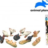 Tiere auf dem Bauernhof mit AR-App