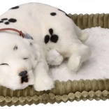 Realistisch atmender Dalmatiner PERFECT PETZZZ zur Adoption