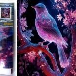 Norimpex Diamantmalerei Nachtvogel 30x40 cm