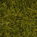 Noch statisches Gras wilde Wiese 12 mm