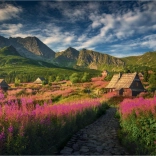 Puzzle Gaseinicova Tal 1000 Teile