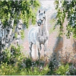 Diamantmalerei Weißes Pferd 30 × 40 cm