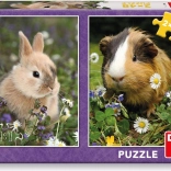 Kinderpuzzle Häschen und Meerschweinchen 2×48 Teile
