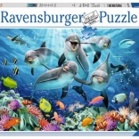 Puzzle 500 Teile – Delfine RAVENSBURGER