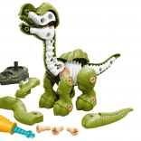 Schraubbare Dinosaurierskelett grün