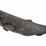 Wal aus der Collecta-Kollektion