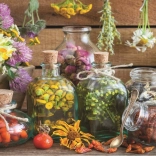 ANATOLIAN Puzzle Kräutertherapie 500 Teile