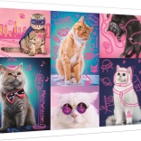 Puzzle Neon Color Line - Super Katzen 1000 Teile