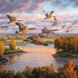 Puzzle Migration COBBLE HILL 1000 Teile