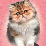 Puzzle Perserkatze 100 Teile