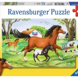 RAVENSBURGER Puzzle Pferdewelt 2×24 Teile